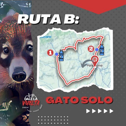 ruta gato solo